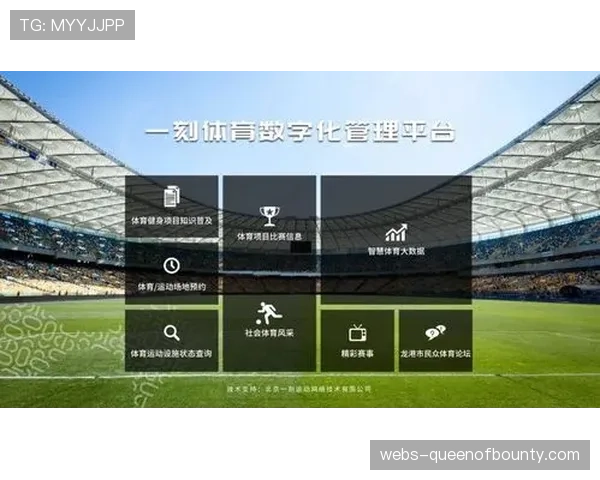 体育内容平台完善内容标签体系，提升检索效率